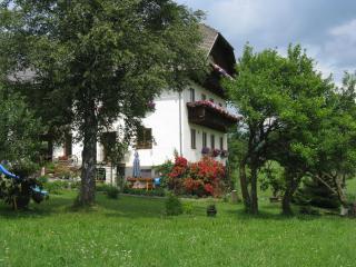 Haus Pfarrkirchner - Mauterndorf - 4