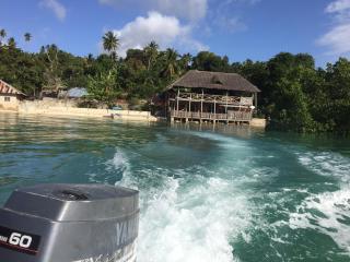 Lala lodge Pemba Zanzibar - Mgini - 0