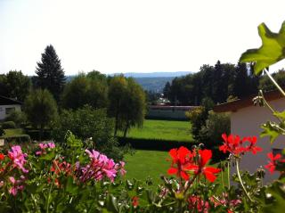 Gasthof Forststube - Velden am Wörthersee - 4