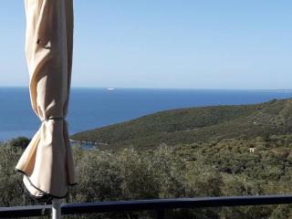 Sunny Sea Apartments - Parga - 7