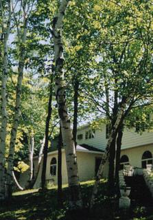 White Birch Inn - Sturgeon Bay - 0