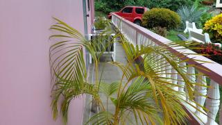 Top Ranking Hill View Guesthouse - 5