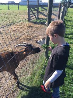 Pueblo Chico Agroturismo Hotel - 3