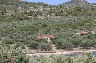 Seaside secluded apartments Cove Magrovica - Telascica, Dugi otok - 8139 - Sali - 8