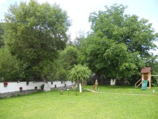 Vila Silvana - Moieciu de Jos - 3