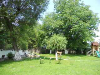 Vila Silvana - Moieciu de Jos - 2