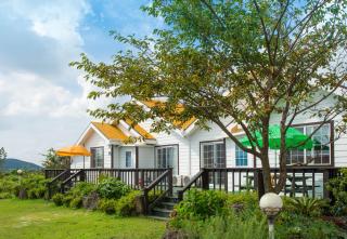 Arting Pension - Seogwipo - 7