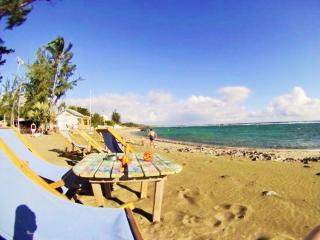 Vert Marine - Saint-Leu - 0