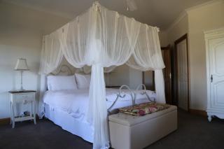 BellbirdHill Bed & Breakfast - Wingham - 7