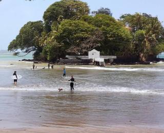 Horizon Inn by OceanLife Surf Stay - Weligama - 4