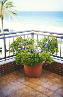 Hotel Miramar Badalona - 5