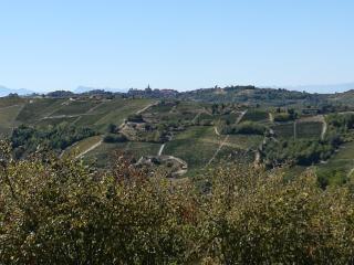 Casa Vigin - Treiso - 6