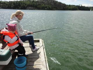 Hjortö stockstuga - 5