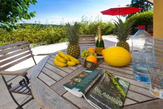 Residenz Cheval - TheView - Panorama - Bodensee - Ravensburg - 3