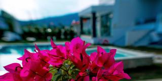 Aelia Living - Stavros - 8