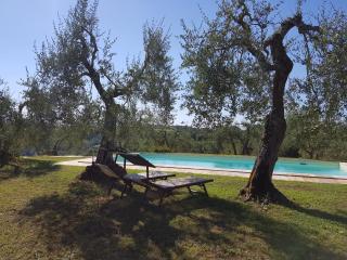 Agriturismo Le Querce - Palaia - 3