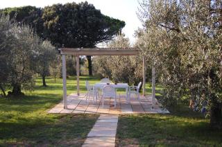 Agriturismo Le Querce - Palaia - 1