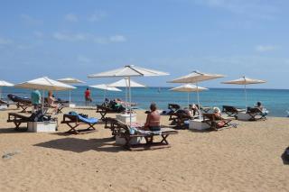Apartment | in Tropical Resort | pool | close to beach - 8