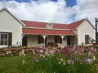 John Montagu Accommodation - 4