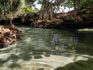 Piscina Natural on the Sea - Cahuita - 1