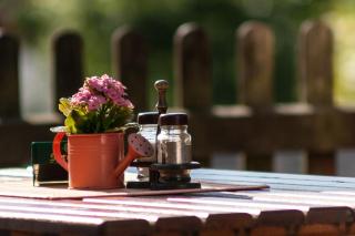 Landhotel Alt-Jocketa - 3