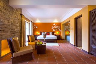 Temple Tree Resort & Spa - Pokhara - 4