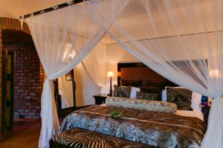 Tintswalo Safari - Manyeleti Game Reserve - 3