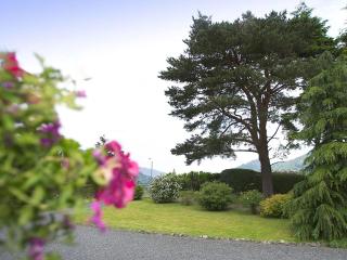 Chapelfield Cottage - Rosthwaite - 6