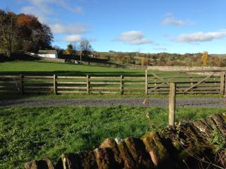 Mews Cottage - Bampton - 2