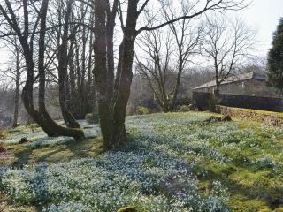 Laundry Cottage - Uldale - 1