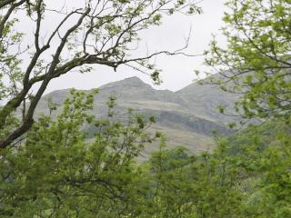 Badger Cottage - Ambleside - 6