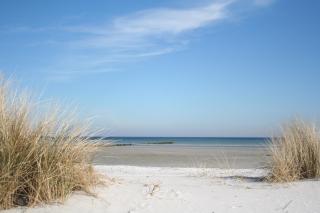 Villa Strandblick 10 - Zingst - 3