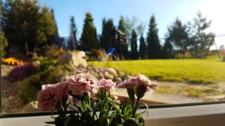 Anandaresort - Vegewakacje - Władysławowo - 4