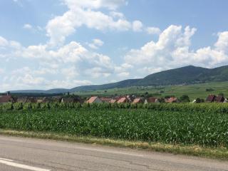Gîte "Smart'In" - Parking offert - Eguisheim - 2