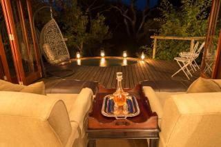 Tintswalo Safari - Manyeleti Game Reserve - 5
