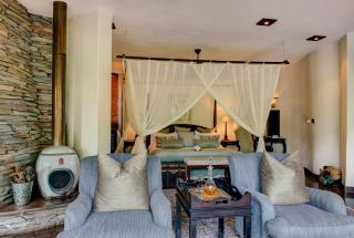 Tintswalo Safari - Manyeleti Game Reserve - 4