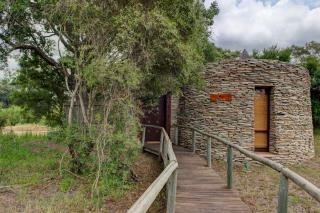Tintswalo Safari - Manyeleti Game Reserve - 1