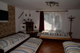 Ubytování u rybníka Bořetice - Bořetice - 7