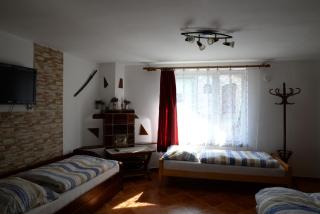 Ubytování u rybníka Bořetice - Bořetice - 6