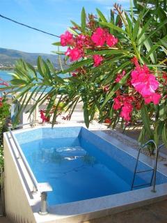 Palace View - Trogir - 6