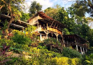 Hostel Plinio - Manuel Antonio - 7
