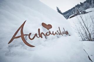 Auhäuslalm - Maria Alm am Steinernen Meer - 5