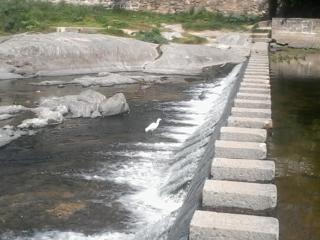 Aires de San Antonio - 4