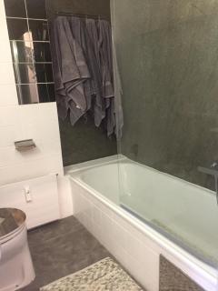 Bear Hutte Saalbach near Billa - 2