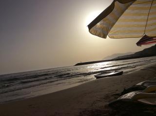 Ocean Bay - Arvi - 3