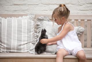 B&B 't Wit Huys Brugge - Brujas - 5