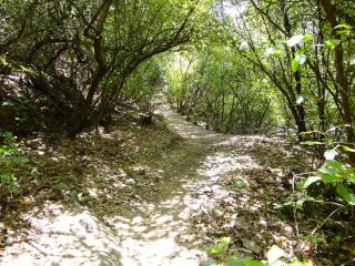 La Posada del Casar - 1