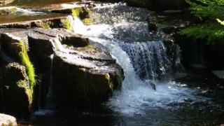 Riverside Apartment - 8