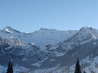 Chalet Sunnegg - Adelboden - 3