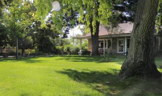 Cottage on Armstrong - Lodi - 0